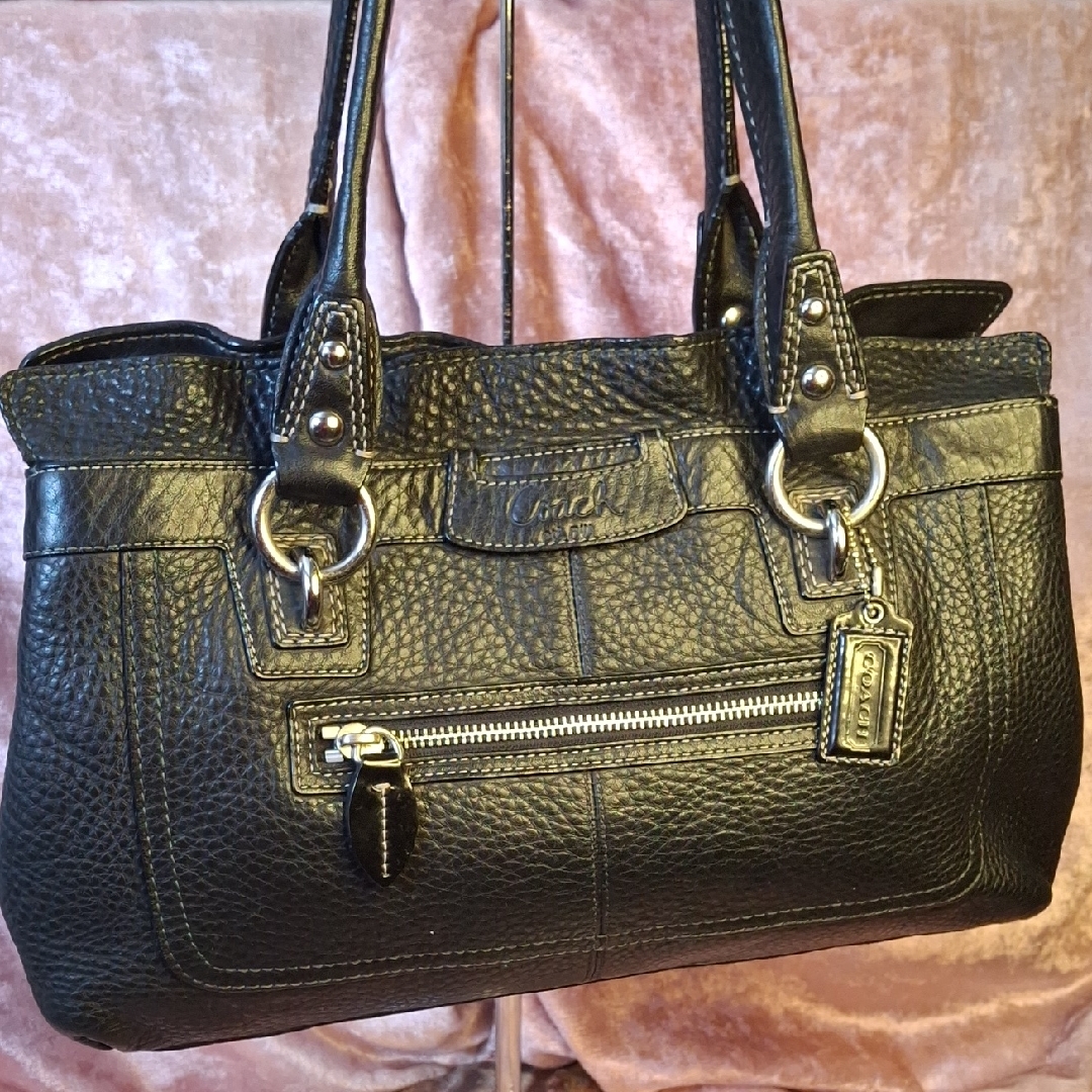 Coach Penelope Leather Bag F14686